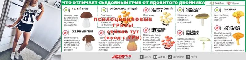 мега ссылка  Железногорск  Галлюциногенные грибы GOLDEN TEACHER  магазин   